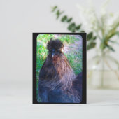 Herr Fluffy the Silkie Rooster Postkarte (Stehend Vorderseite)