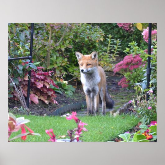 Herr Fox Poster (Vorne)