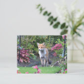 Herr Fox Postkarte (Stehend Vorderseite)