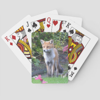 Herr Fox Spielkarten