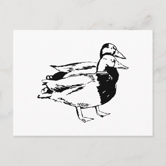 Herr & Frau Duck Postkarte (Vorderseite)