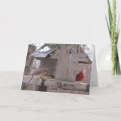 Herr & Frau Kardinal Karte (Rückseite)