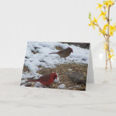 Herr & Frau Kardinal Karte (Gelbe Blume)