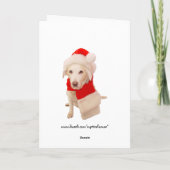 Herr & Frau Kitty Claws Feiertagskarte (Rückseite)