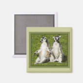 Herr & Frau Lemur Magnet (Vorderseite/Rückseite)