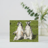Herr & Frau Lemur Postkarte (Stehend Vorderseite)