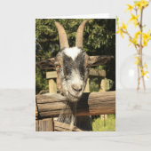 Herr Goat Karte (Gelbe Blume)