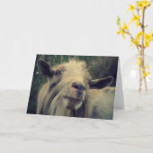 Herr Gotye - Blank Card Karte (Gelbe Blume)