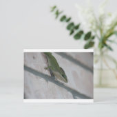 Herr Green Lizard Postkarte (Stehend Vorderseite)