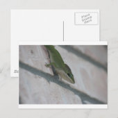 Herr Green Lizard Postkarte (Vorne/Hinten)