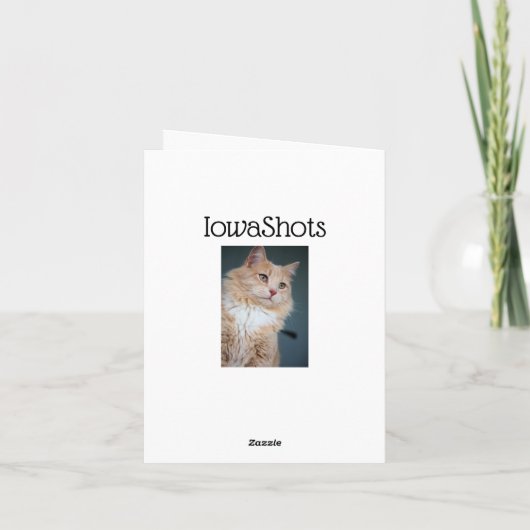 Herr, gut karte (Rückseite)