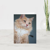 Herr, gut karte (Vorderseite)