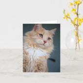 Herr, gut karte (Gelbe Blume)