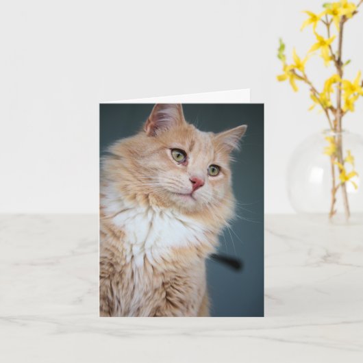 Herr, gut karte (Gelbe Blume)