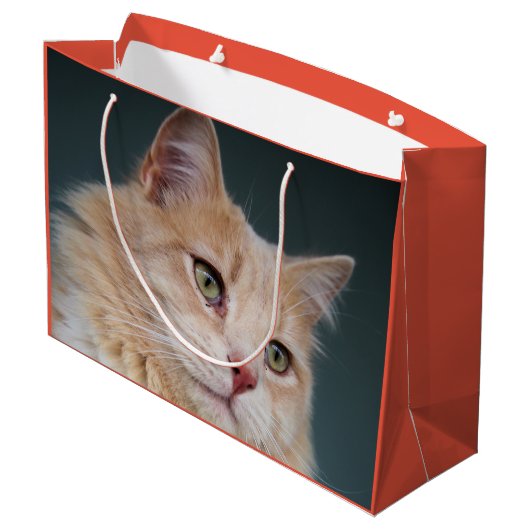 Herr Handsome Große Geschenktüte (Rückseite Schrägansicht)