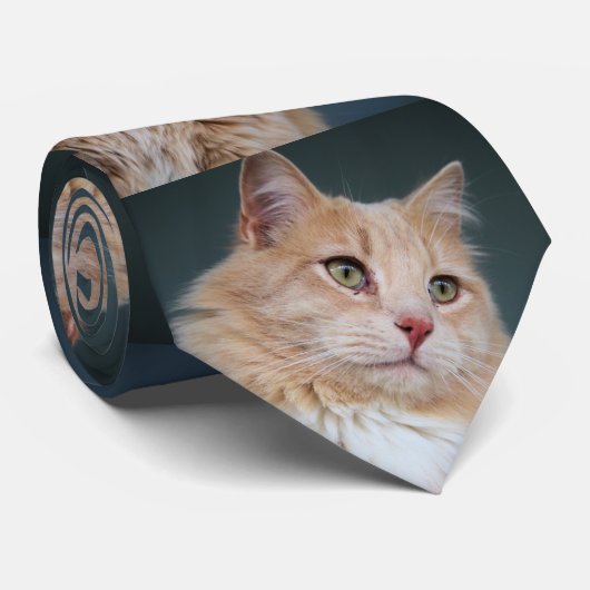 Herr Handsome Krawatte (Gerollt)