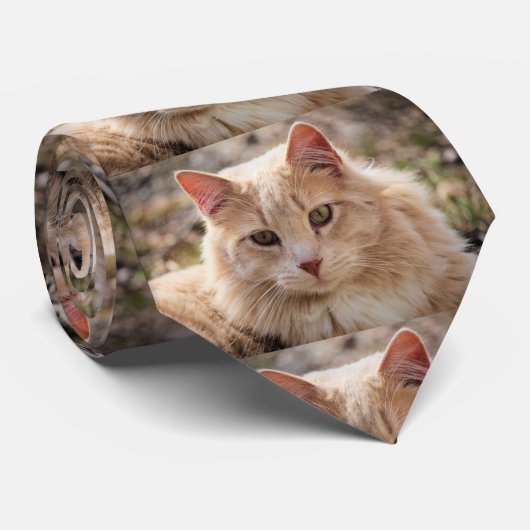 Herr Handsome Krawatte (Gerollt)