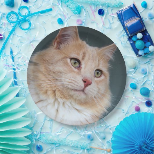 Herr Handsome Pappteller (Party)