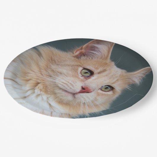 Herr Handsome Pappteller (Schrägansicht)