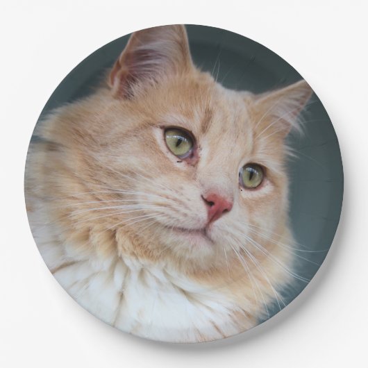 Herr Handsome Pappteller (Vorderseite)