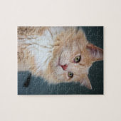Herr Handsome Puzzle (Horizontal)