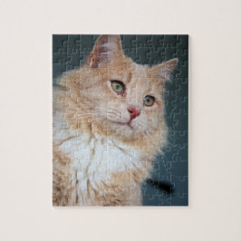 Herr Handsome Puzzle