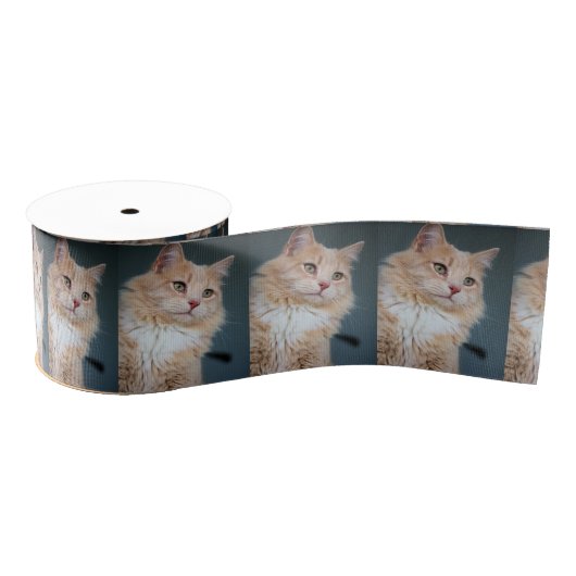 Herr Handsome Ripsband (Spule)