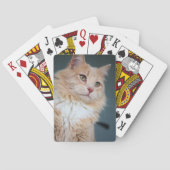 Herr Handsome Spielkarten (Rückseite)