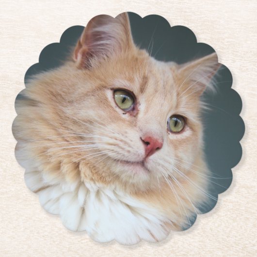 Herr Handsome Untersetzer (Vorderseite)