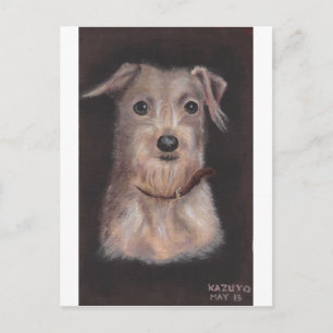 Herr J-lo Postkarte