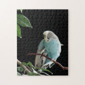 Herr Jill Budgie Puzzle (Vertikal)