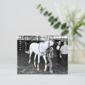 Herr Jordan Postkarte (Stehend Vorderseite)