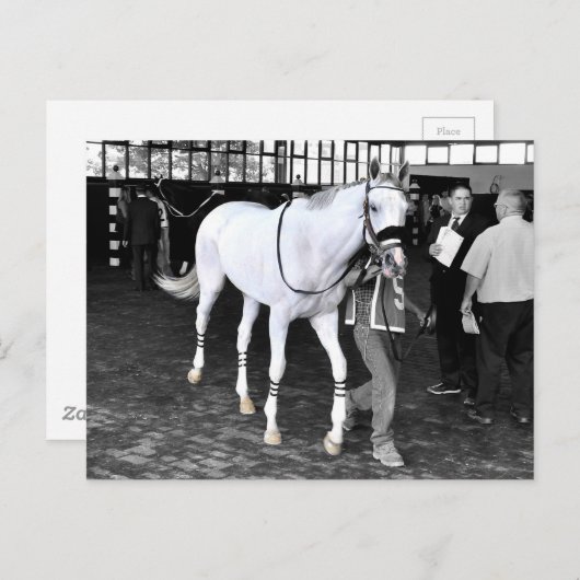 Herr Jordan Postkarte (Vorne/Hinten)