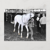 Herr Jordan Postkarte (Vorderseite)