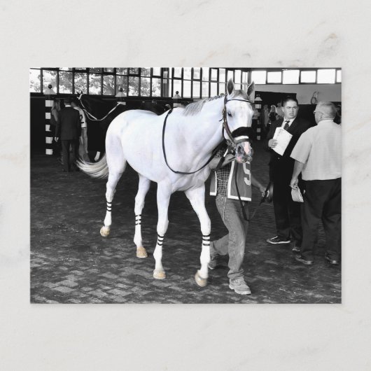 Herr Jordan Postkarte (Vorderseite)