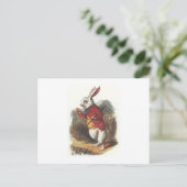 Herr Kaninchen! Postkarte (Stehend Vorderseite)