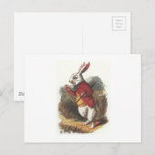 Herr Kaninchen! Postkarte (Vorne/Hinten)