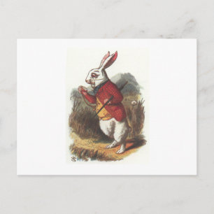 Herr Kaninchen! Postkarte