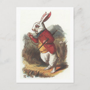 Herr Kaninchen! Postkarte
