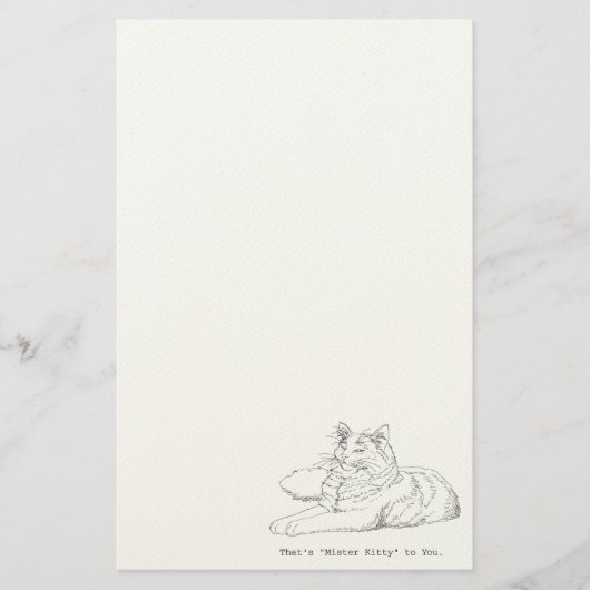 Herr Kitty Cat Stationery Briefpapier (Vorderseite)