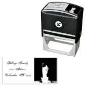 Herr Kitty on Car Design Permastempel (Beispiel)