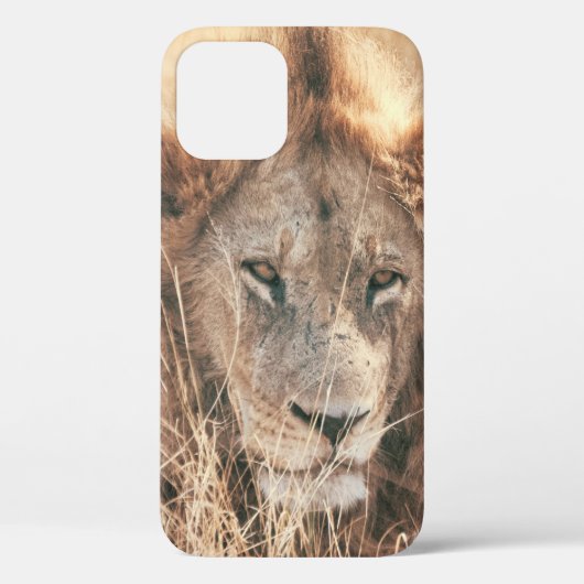 HERR LION KING Case-Mate iPhone HÜLLE (Rückseite)