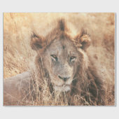 HERR LION KING GESCHENKPAPIER (Flach)