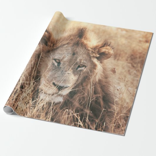 HERR LION KING GESCHENKPAPIER (Ungerollt)