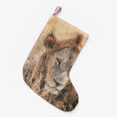 HERR LION KING KLEINER WEIHNACHTSSTRUMPF (Vorderansicht (hängend))