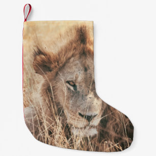 HERR LION KING KLEINER WEIHNACHTSSTRUMPF