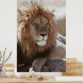 HERR LION POSTER (Küche)