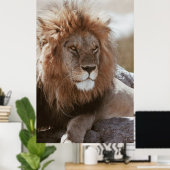 HERR LION POSTER (Heimbüro)