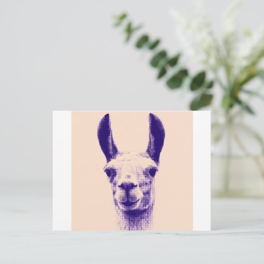 Herr Llama Postkarte (Stehend Vorderseite)