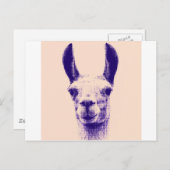 Herr Llama Postkarte (Vorne/Hinten)